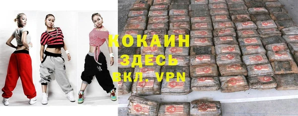 хмурый Алзамай
