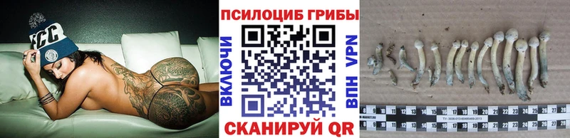 Галлюциногенные грибы GOLDEN TEACHER Тотьма